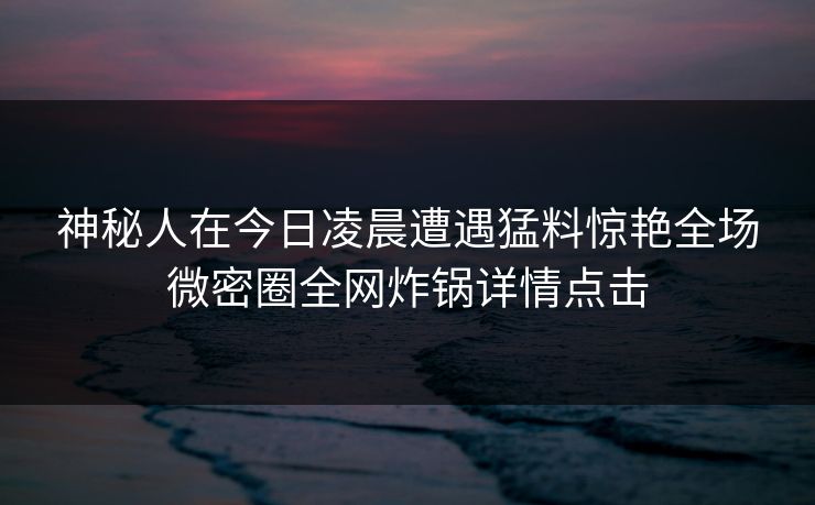 神秘人在今日凌晨遭遇猛料惊艳全场微密圈全网炸锅详情点击