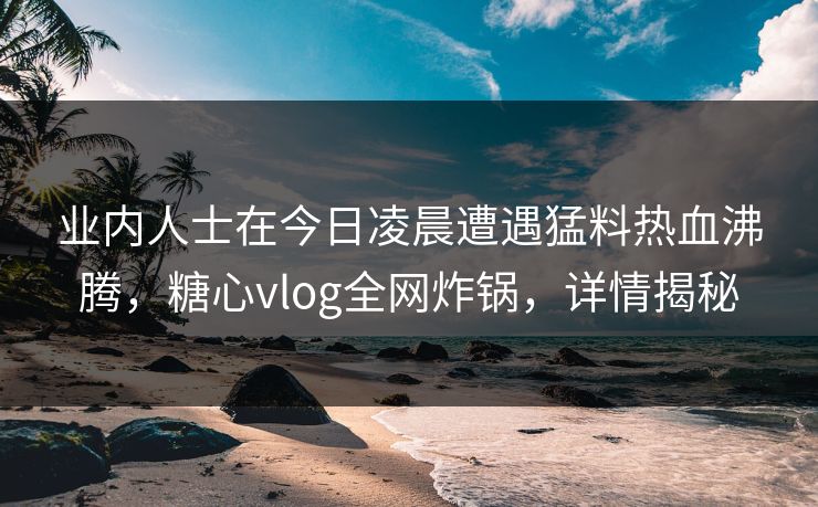 业内人士在今日凌晨遭遇猛料热血沸腾，糖心vlog全网炸锅，详情揭秘