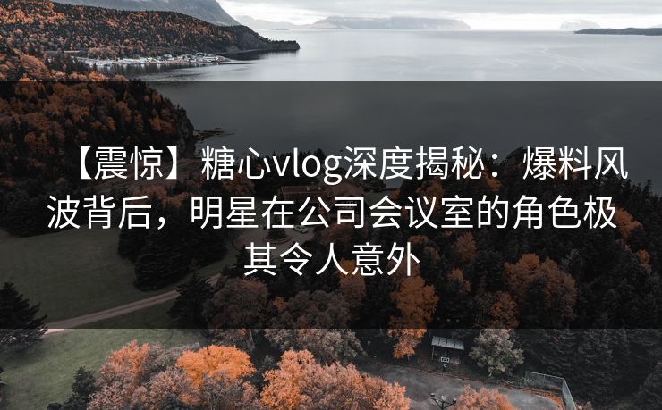 【震惊】糖心vlog深度揭秘：爆料风波背后，明星在公司会议室的角色极其令人意外