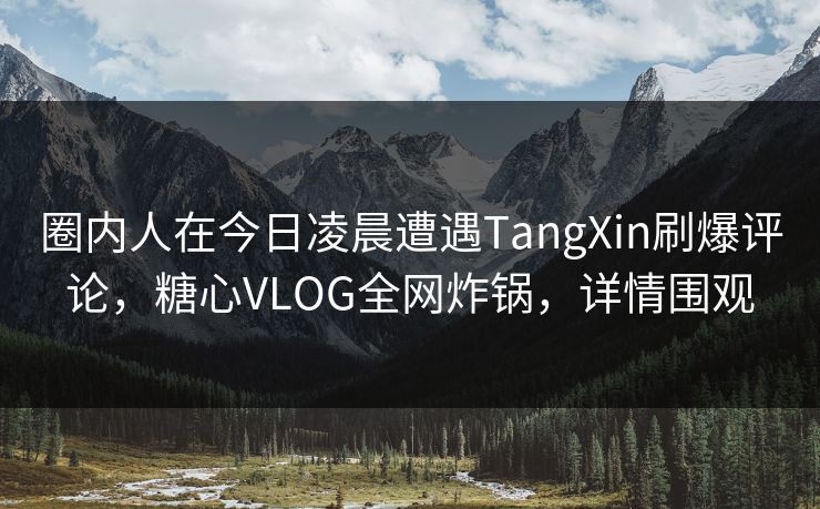 圈内人在今日凌晨遭遇TangXin刷爆评论，糖心VLOG全网炸锅，详情围观